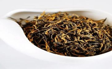 茶专业的演讲稿8篇