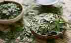 以茶为主题的活动方案7篇