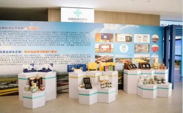 竹产品市场调查报告5篇