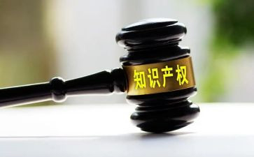 知识产权活动总结5篇
