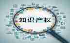 2022知识产权工作总结8篇