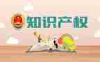 知产权工作总结8篇