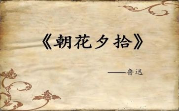 《朝花夕拾》心得体会6篇