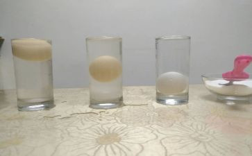 蛋的沉浮教案5篇