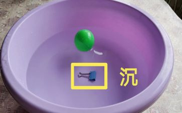 幼儿活动沉与浮活动总结优质6篇