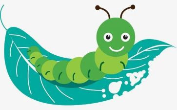 昆虫记教案模板7篇