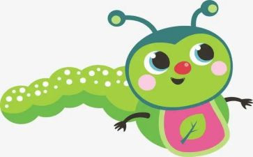 昆虫记教案5篇