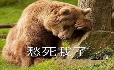 初三的愁作文模板7篇