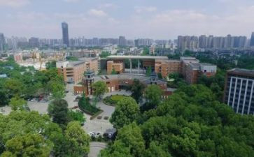 我的川大梦想演讲稿推荐5篇