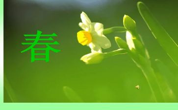 有关春的演讲稿最新8篇
