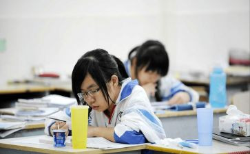 初中生作文800字优质5篇