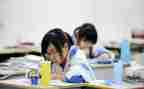 初中生作文800字优质5篇