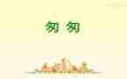 匆匆的读后感400字7篇