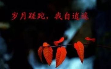 重新开始从心开始心得体会7篇