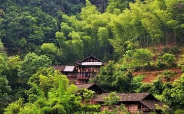 阳光村心得体会6篇