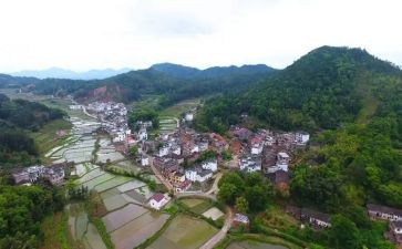 2024年村半年总结优质7篇