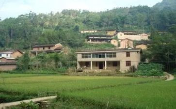 村级529活动方案5篇