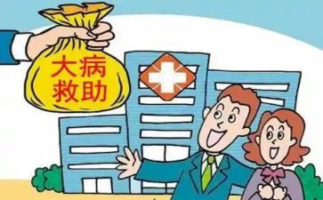 农村大病户申请书精选8篇