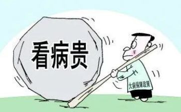 申请大病低保申请书范文6篇