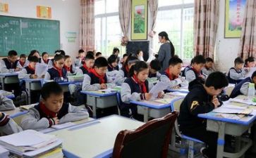 导师工作心得体会5篇