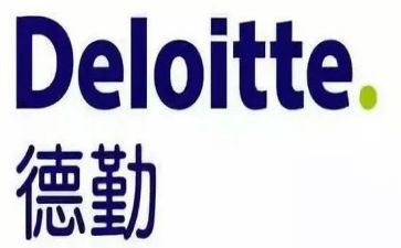 德勤工作总结6篇