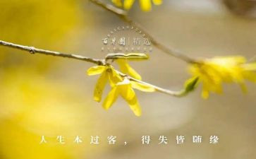 得与失工作报告优秀8篇