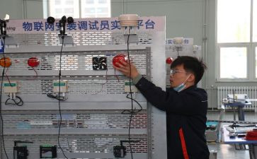 调试员的工作总结6篇