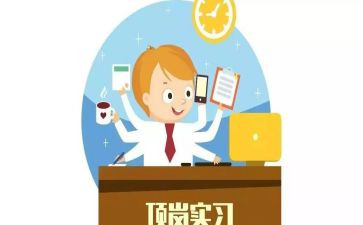 顶岗实总结报告推荐5篇