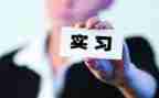 顶岗支教心得体会8篇