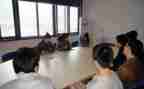 工厂顶岗心得体会7篇