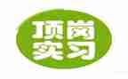 学生顶岗心得体会参考8篇