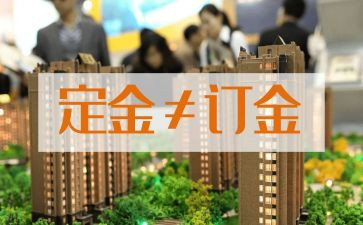 二手房卖定金合同6篇