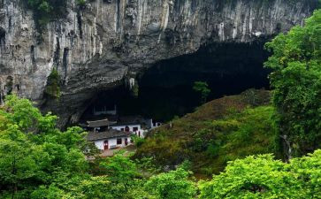 《洞》读后感400字优质8篇