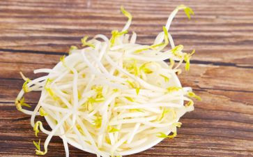 豆芽生长作文8篇