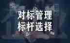 半年对标工作报告通用8篇