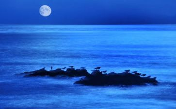 独立夜心得体会7篇