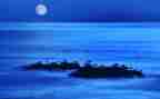 独立夜心得体会7篇