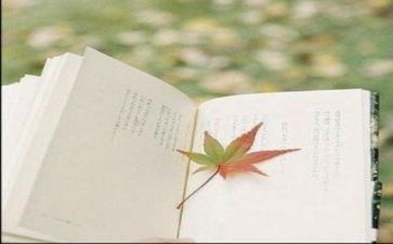 心得体会和读书心得体会8篇