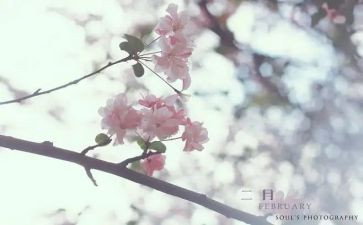 幼儿园十二月份月总结5篇