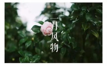 工作第二月总结最新7篇