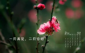 中班二月工作总结8篇