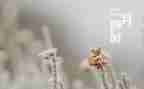 幼儿园大班二月份工作总结5篇