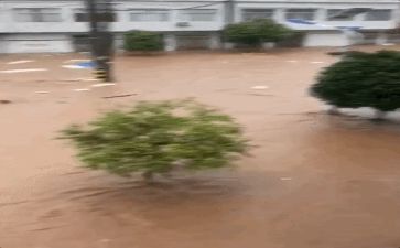 防汛科工作总结优秀7篇