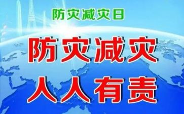 村防灾工作计划6篇