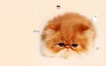 烦恼不“烦恼”作文600字通用8篇