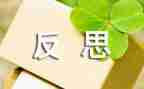 工作总结中反思参考5篇