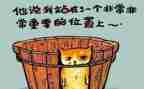 工作总结和反思范文优质7篇