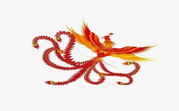 爬凤凰山作文8篇