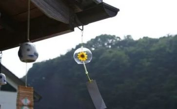 风铃花作文6篇