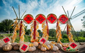 丰收节活动总结8篇